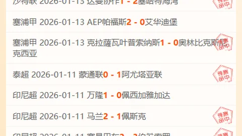 2025保定马拉松：十万跑者的狂欢通行证